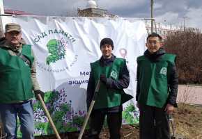 Бестужевцы приняли участие в экологической акции «Сад памяти»