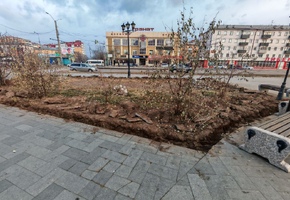 На театральной площади завершается благоустройство клумб