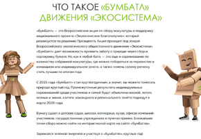 «БумБатл» движения «Экосистема»